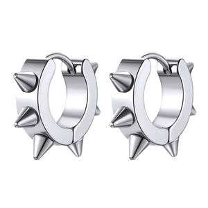 25 Piece Silver Earring Set
