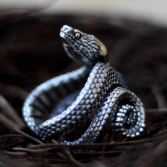 Serpent Ring (Adjustable)